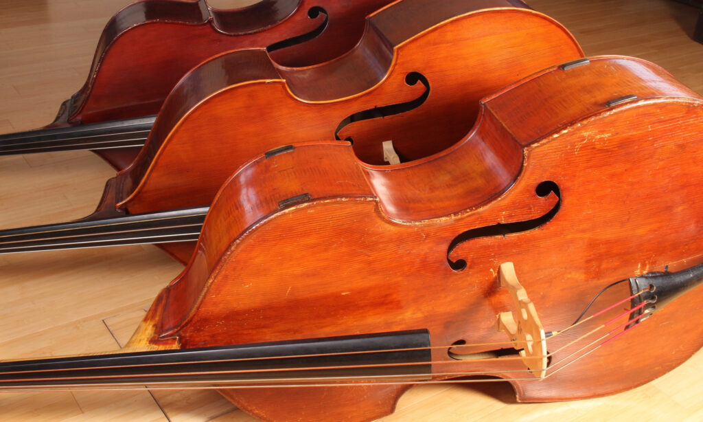 Die Qual der Wahl - das passende Instrument zu finden, kann ein langer Weg sein. Doch die Suche kann auch Spaß machen!