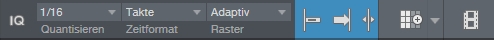 Hier werden Raster und Quantisierung eingestellt.