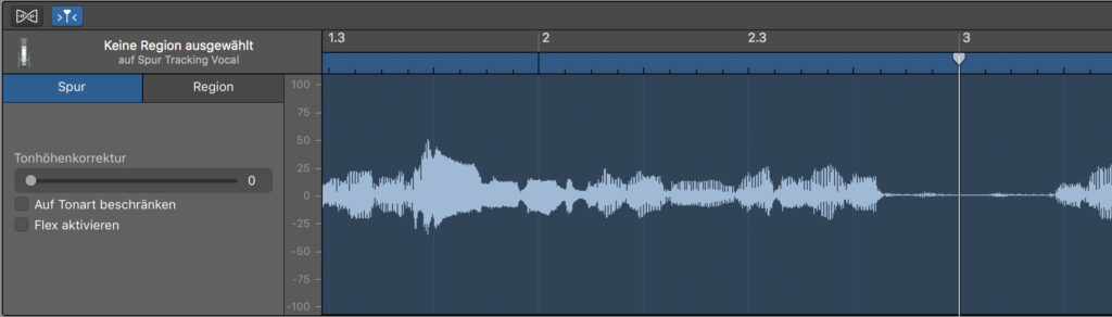 Immerhin gibt es im Bereich „Spur“ die Tonhöhenkorrektur und die Flex-Funktion.