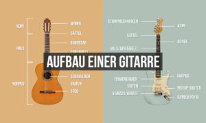 Der Aufbau der Gitarre und ihre Teile Artikelbild