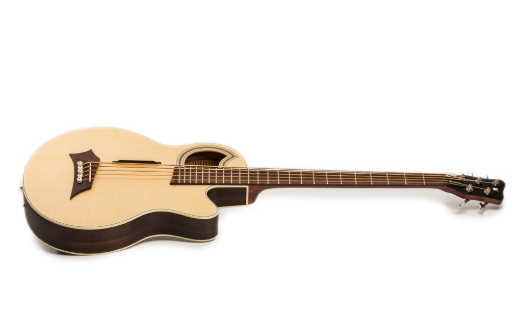 Warwick RockBass Alien Deluxe 5 Hybrid Thinline Test - Bonedo