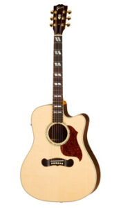 AMG kürt die Gitarre des Jahres 2008: Artikelbild
