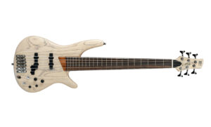 Ibanez Ashula Bass SR2010ASC-TWF Artikelbild