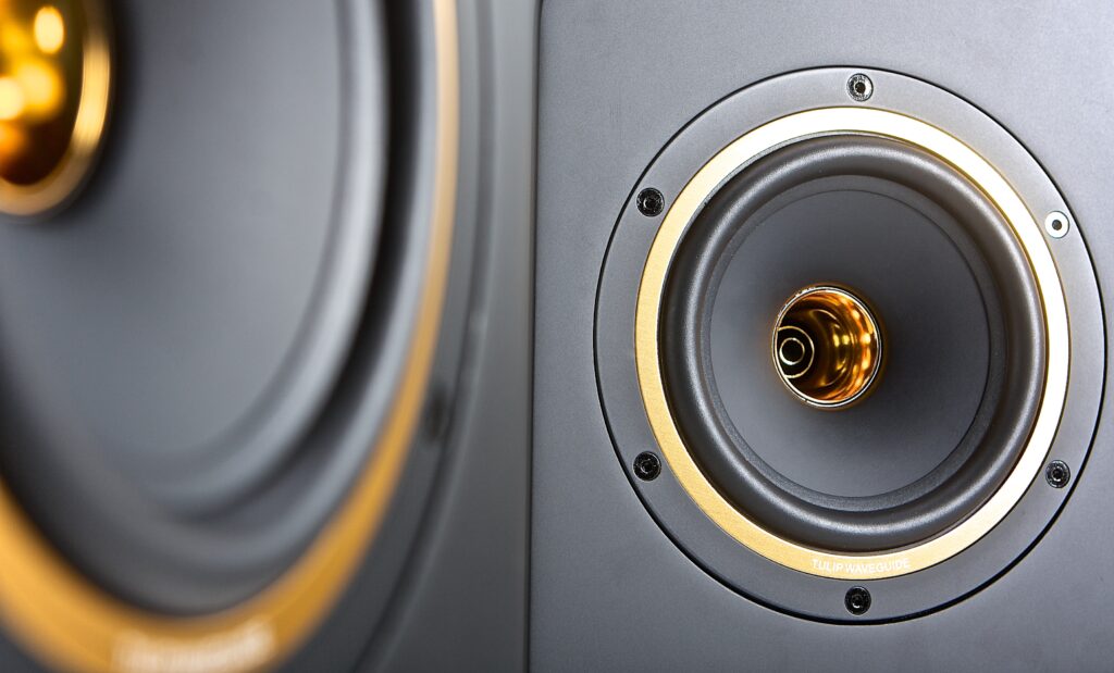 Tannoy_Gold_5_9-1096688 Bild