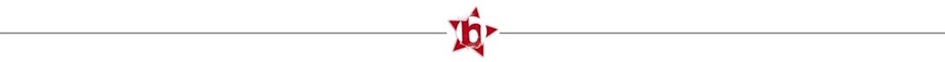 bonedo_divider-1098710 Bild