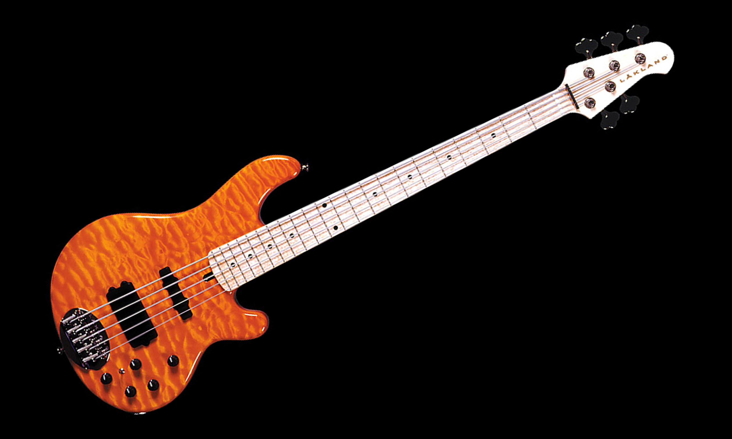 W-Music Distribution übernimmt Vertrieb von Lakland Guitars Artikelbild