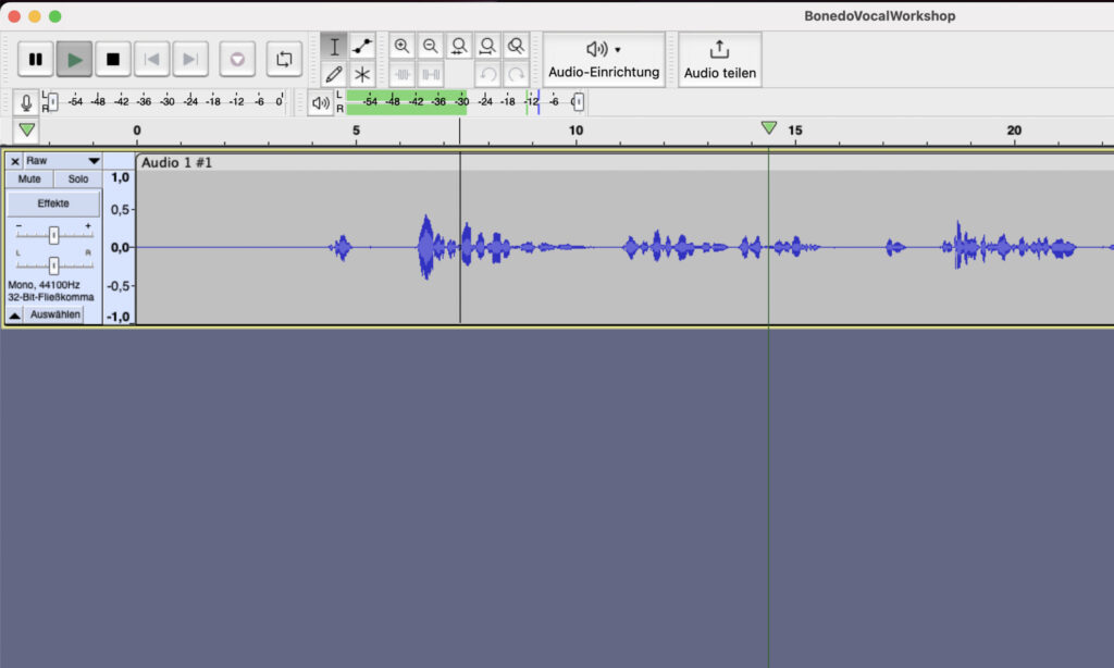 Spur mit Aufnahme in Audacity