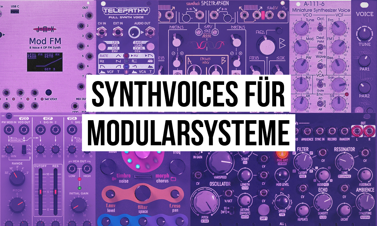 Synthvoice-Module für Eurorack Modularsysteme Artikelbild