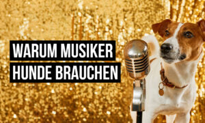 5 Gründe warum Musiker Hunde brauchen Artikelbild