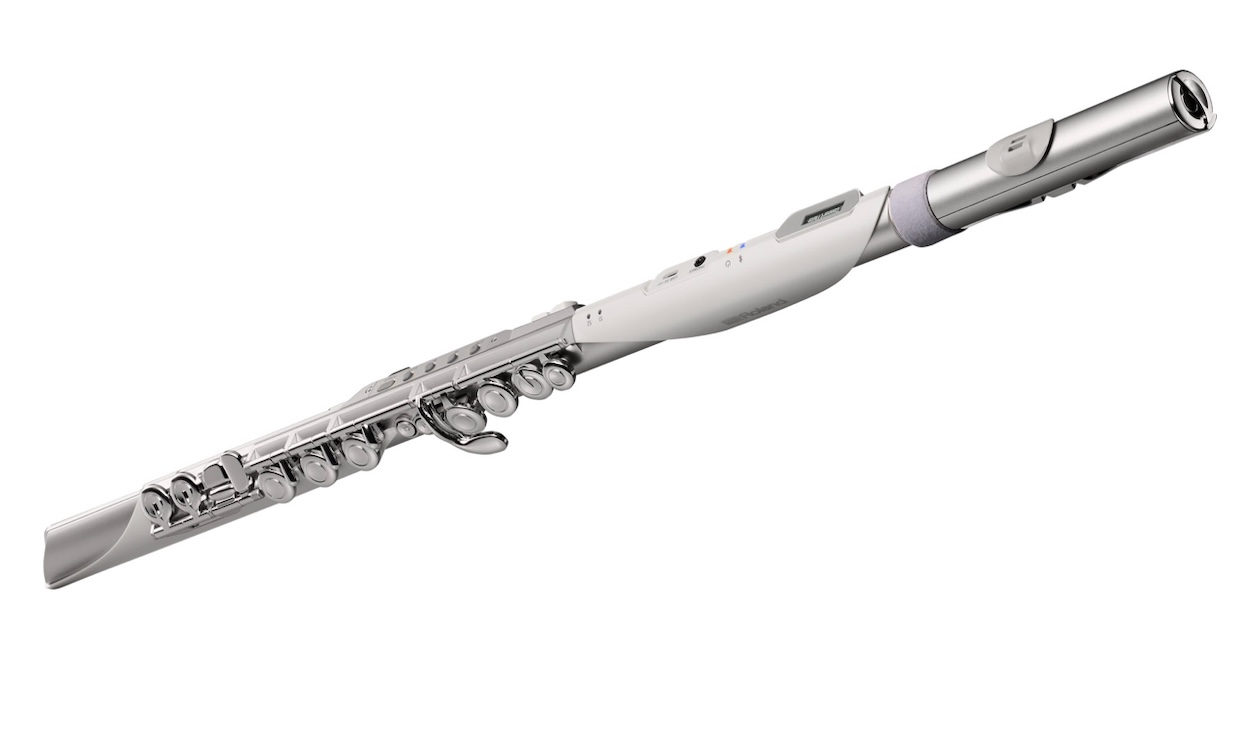 Roland Aerophone Brisa digitales Blasinstrument für Flötisten Artikelbild