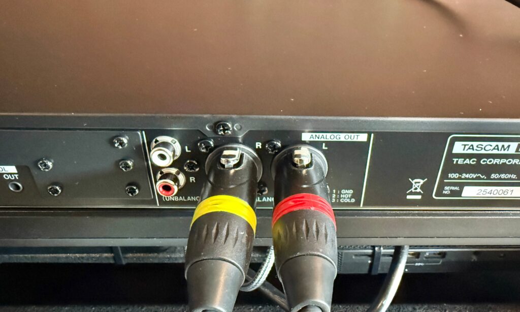 Schön, dass auch XLR-Ausgänge bereitstehen