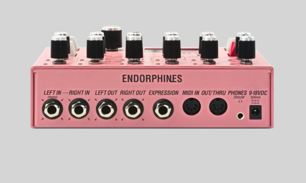 EVIL PET Anschlüsse (Bildquelle: Endorphin.es)