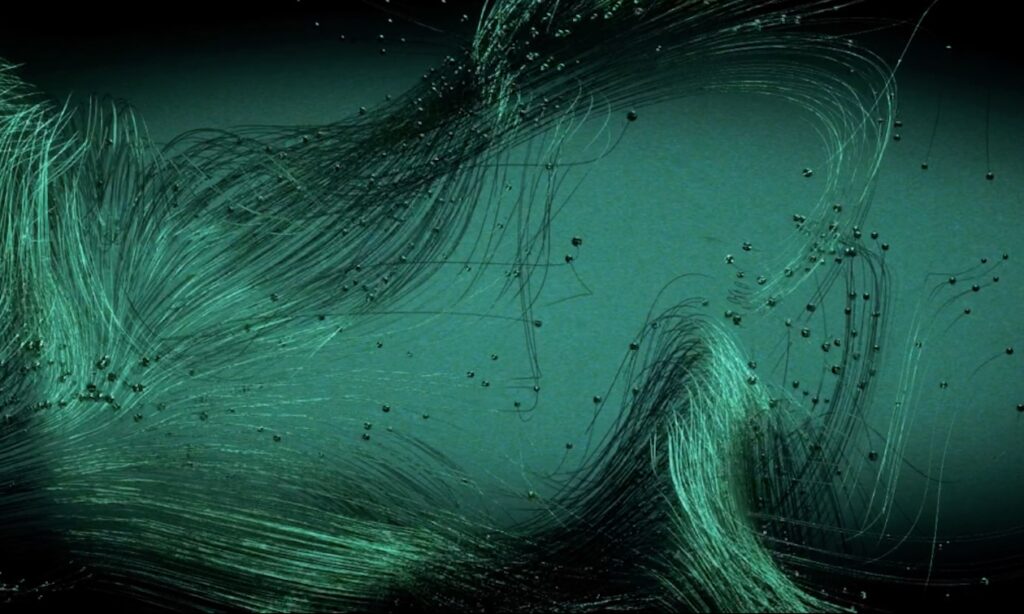 Screenshot Native Instruments Website 