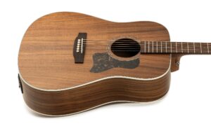 Test: Harley Benton CLD-65AE NT – Wie klingt Akazie? Artikelbild