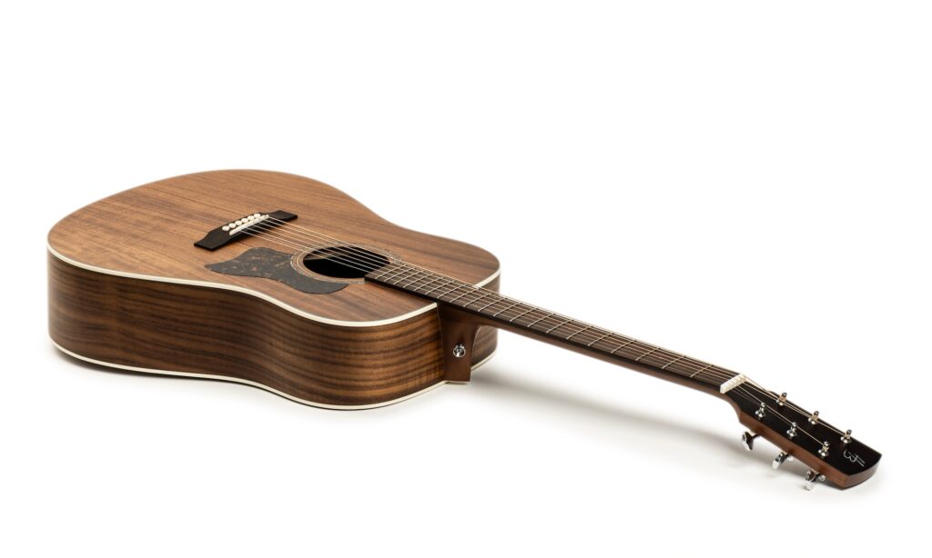 Harley Benton CLD-65AE NT Test 