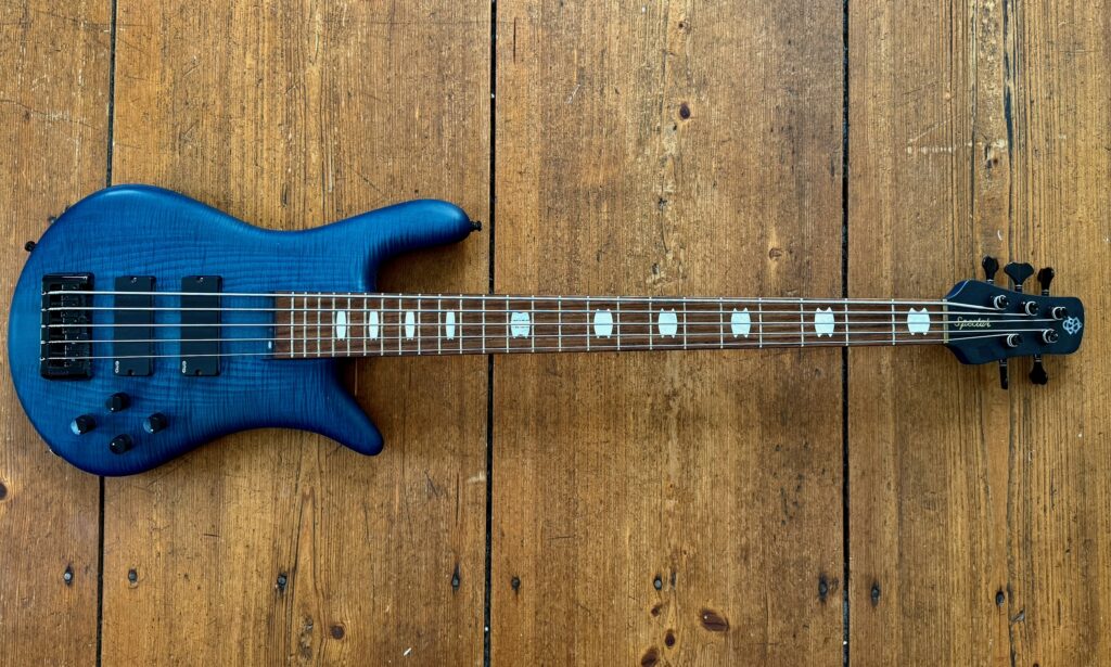 Fivestring Spector Bass
