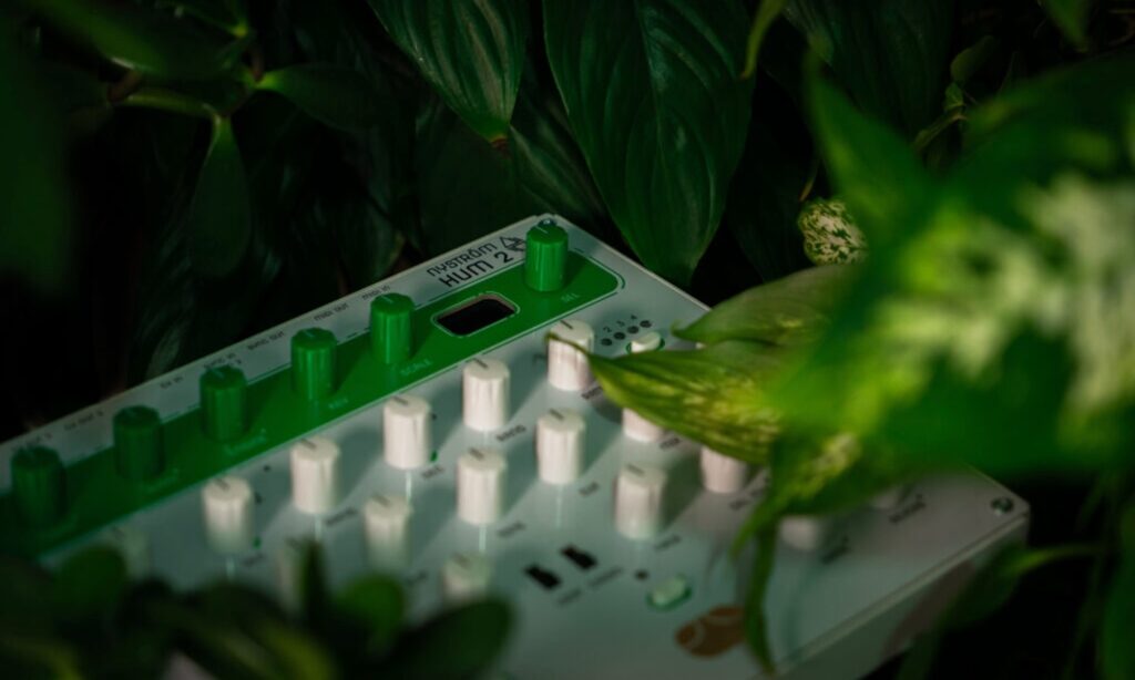 Hum 2 (Bildquelle: Nyström)