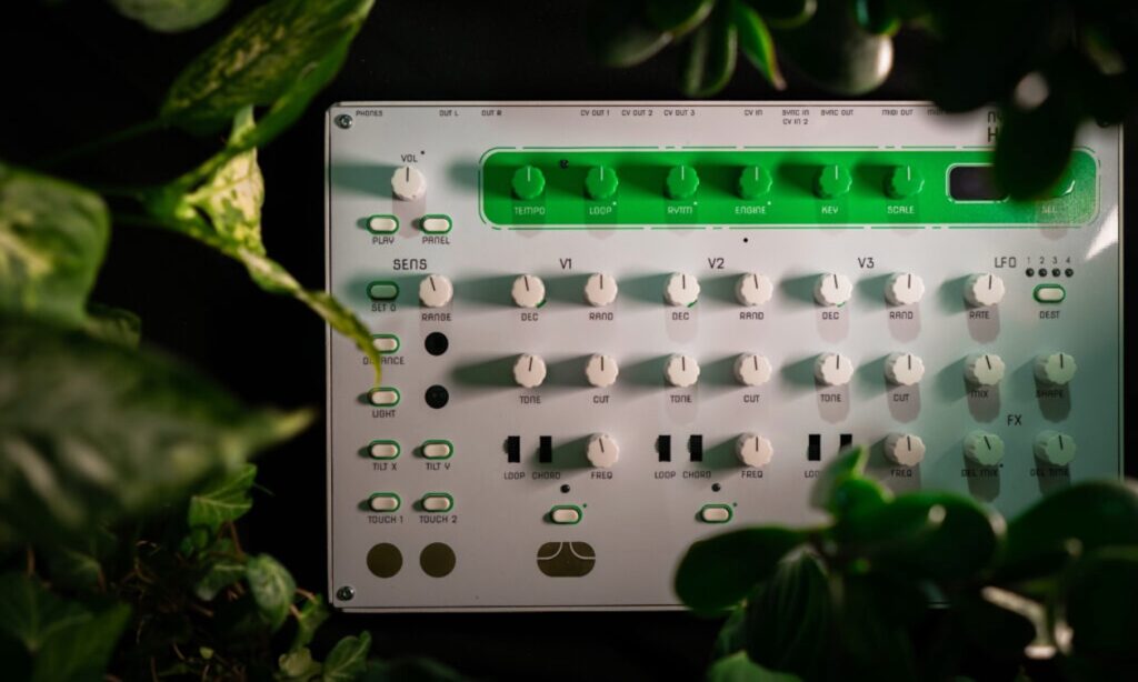 Hum 2 (Bildquelle: Nyström)