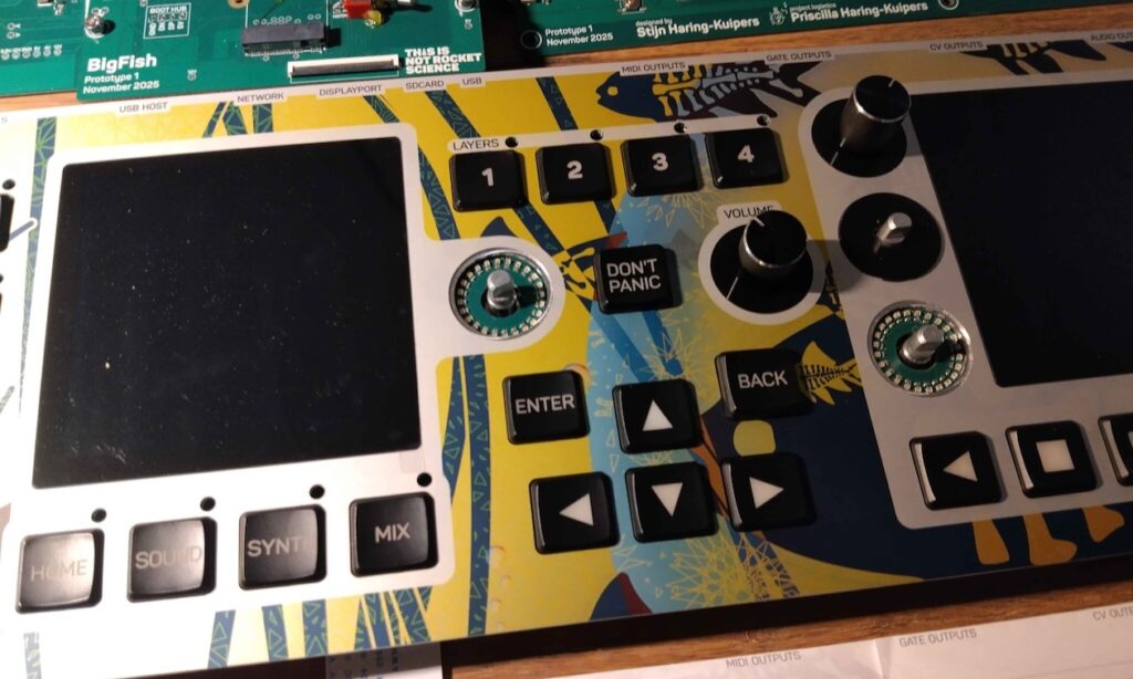 Big Fish (Bildquelle: This Is Not Rocket Science)