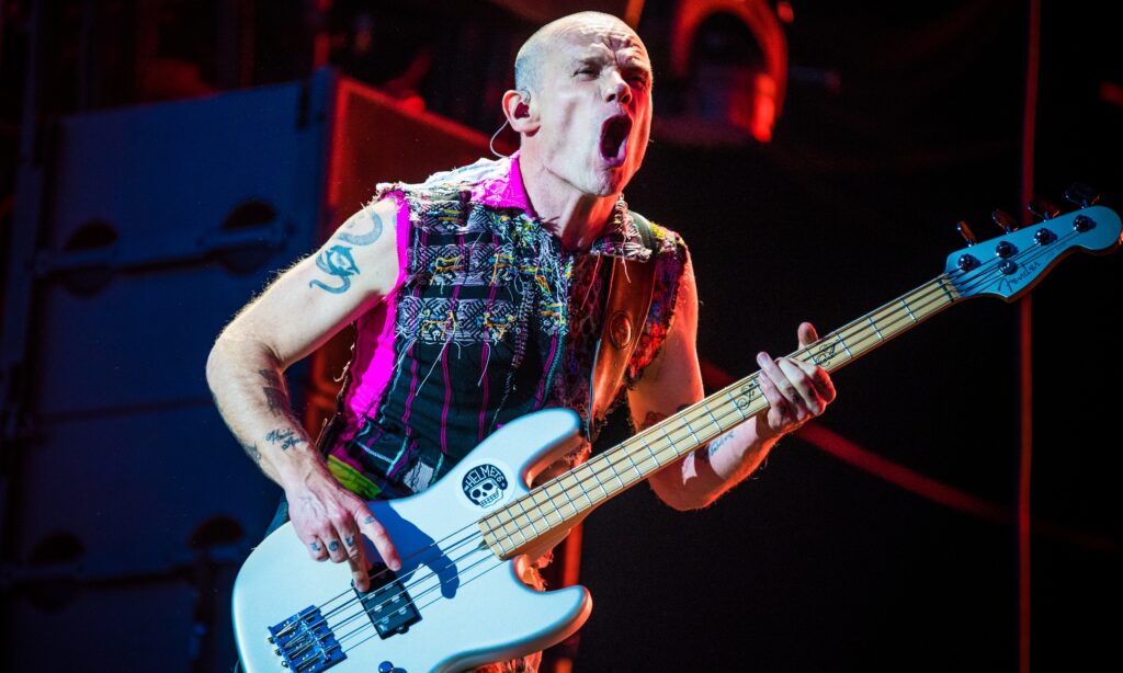 Flea Red Hot Chili Peppers