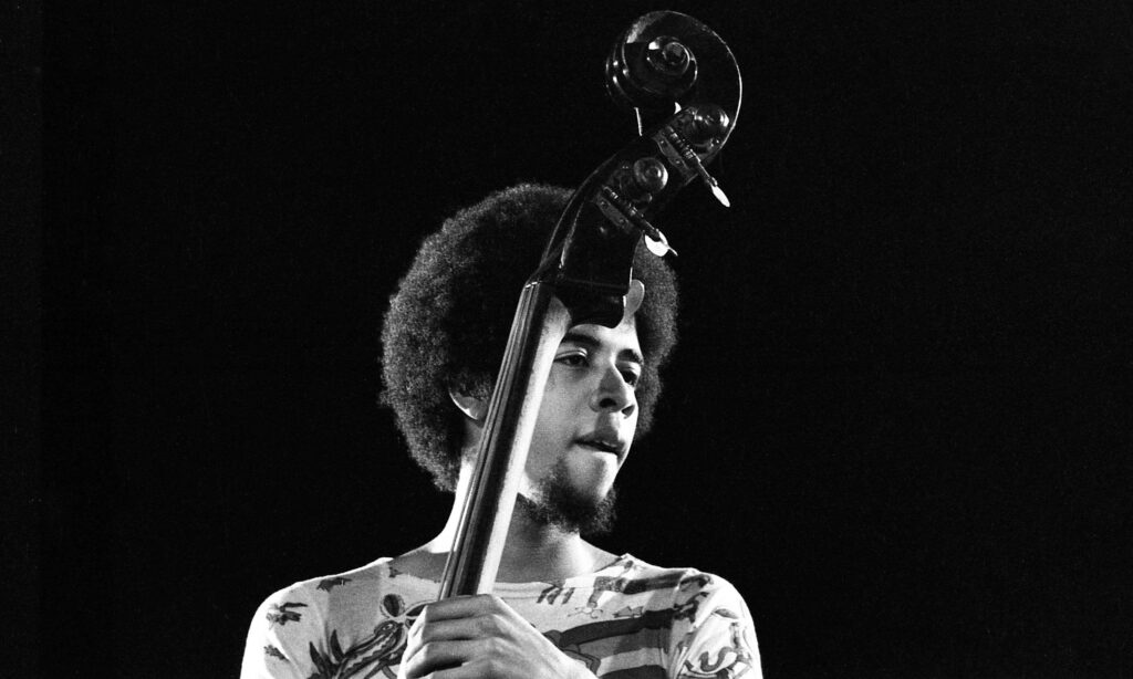 Stanley Clarke Upright Bass