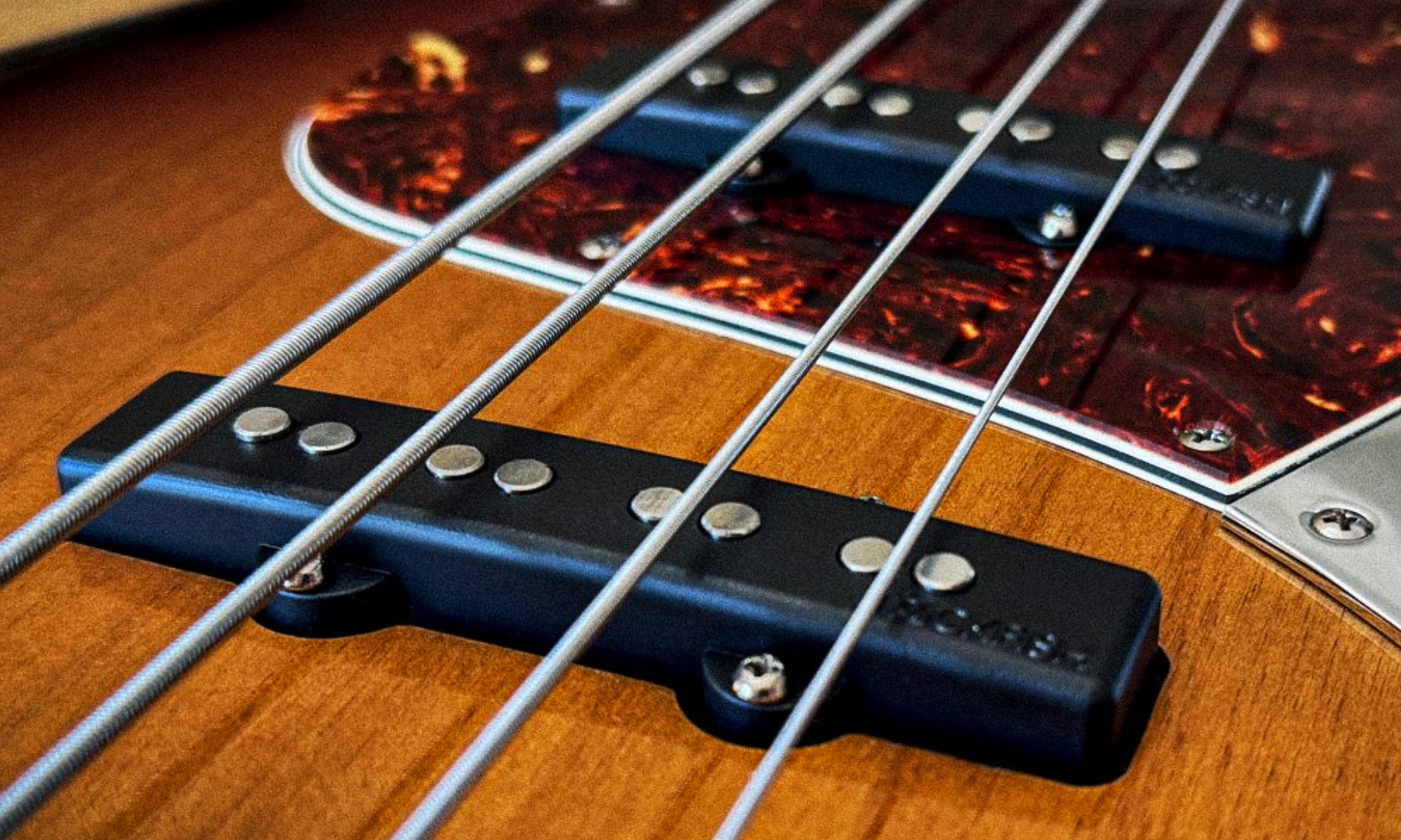 Bass-Pickups von Trickfish Amplification: Ultimative Transparenz statt Vintage-Klischees Artikelbild