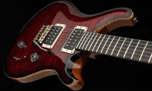 PRS Birds Of A Feather Custom 24 – Ausnahmeinstrument in limitierter Sonderauflage Artikelbild