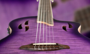 Guitar Summit 2026: Ortega RTP-LTD2 – limitierte E-Nylongitarre Artikelbild