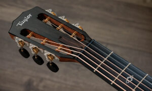 Taylors Guitars stellt fünf neue 12-Fret-Modelle der „Next Generation“ vor Artikelbild