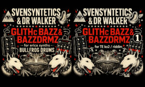 GLITHC BAZZ 1: Glitch Samples für BULLFROG DRUMS & KO II Artikelbild
