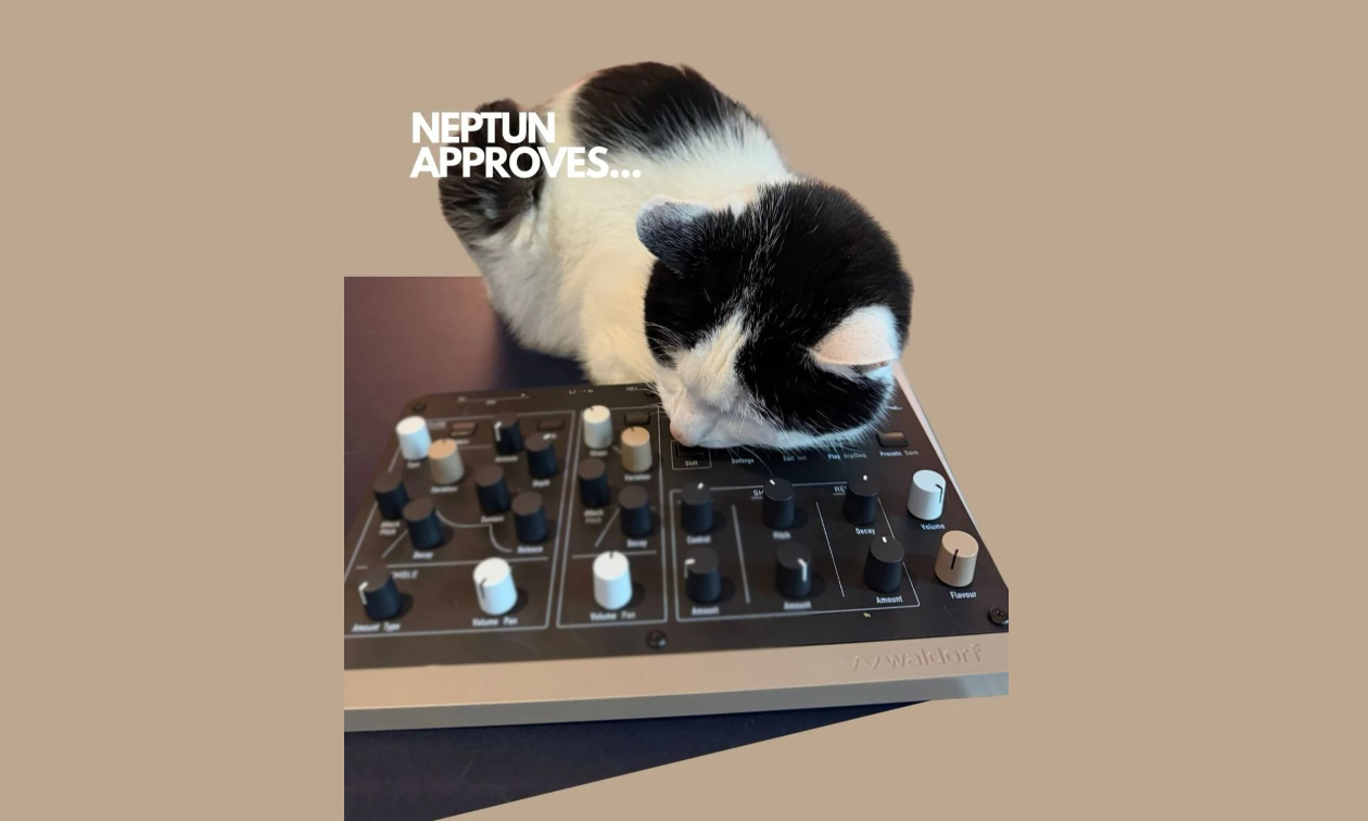 Waldorf Neptun: Name der Katze oder ein neuer Synthesizer? Artikelbild