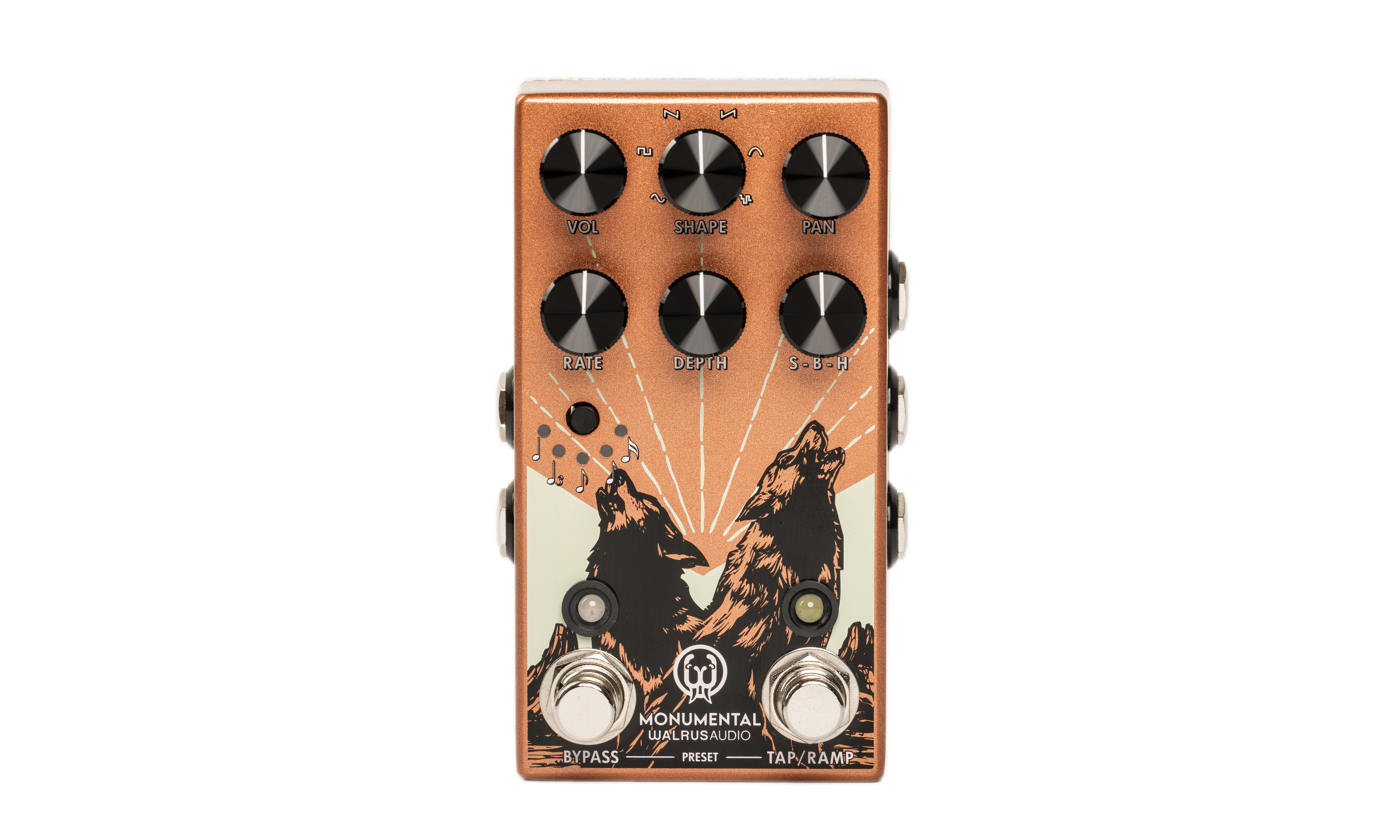 walrus　CD 3枚セット walrusCD 3枚セット