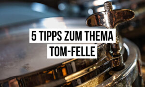 5 Tipps zum Thema Tom-Felle Artikelbild