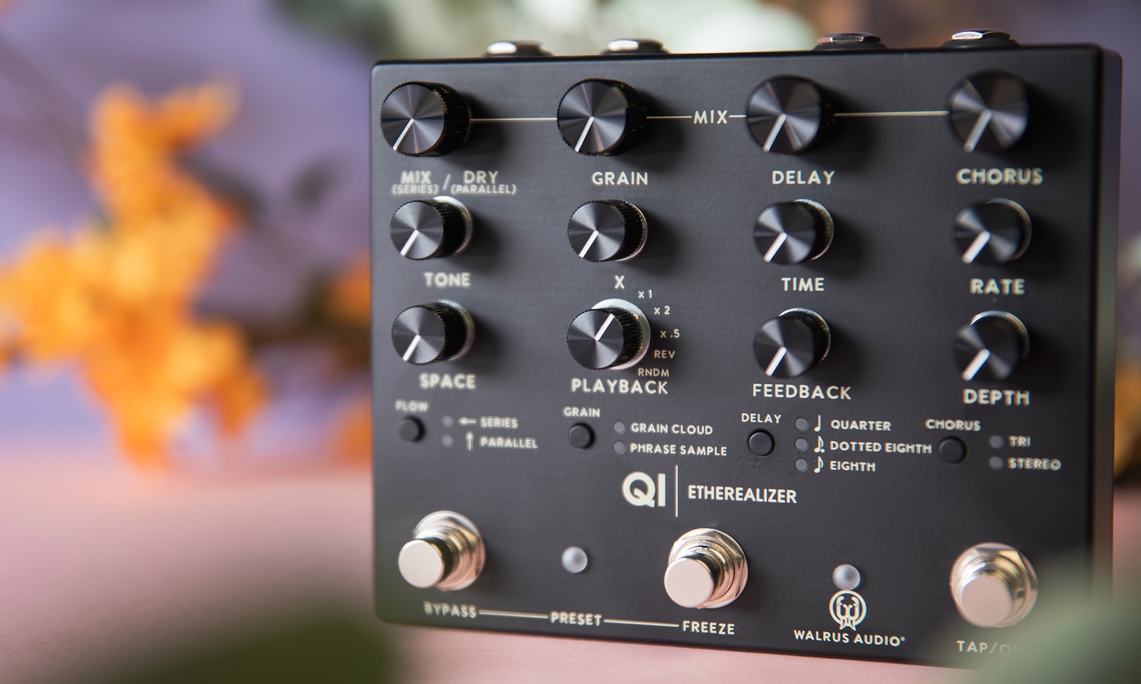 Walrus Audio Qi Etherealizer Test - Bonedo