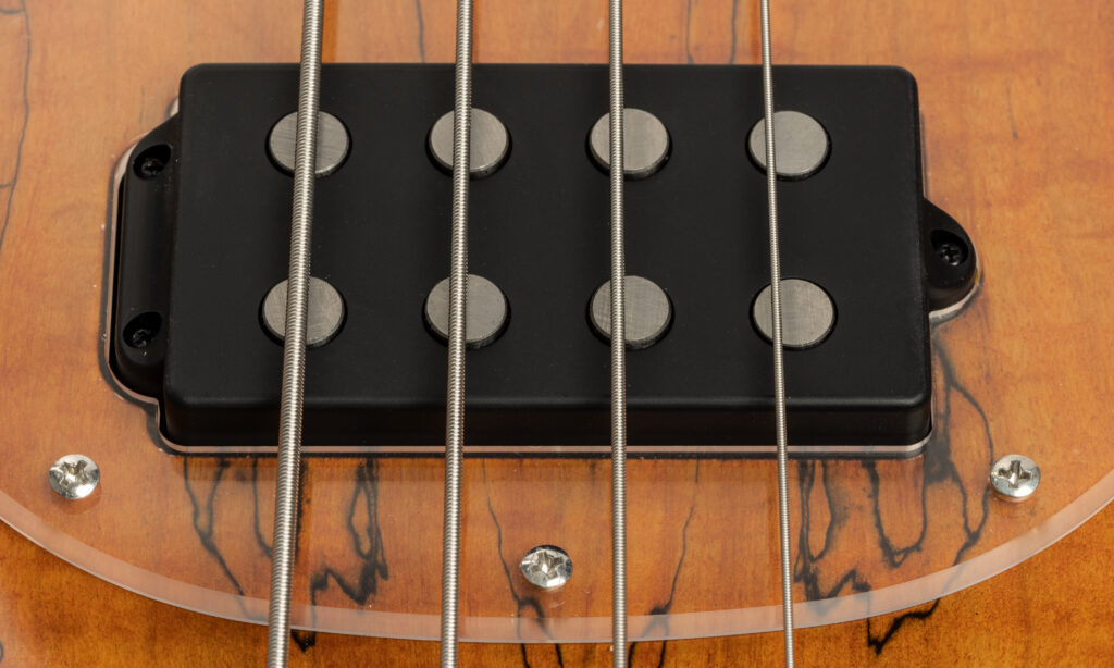 Sterling by Music Man StingRay RAY34 Spalted Maple