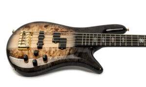 Spector Euro 5 CST Test Artikelbild