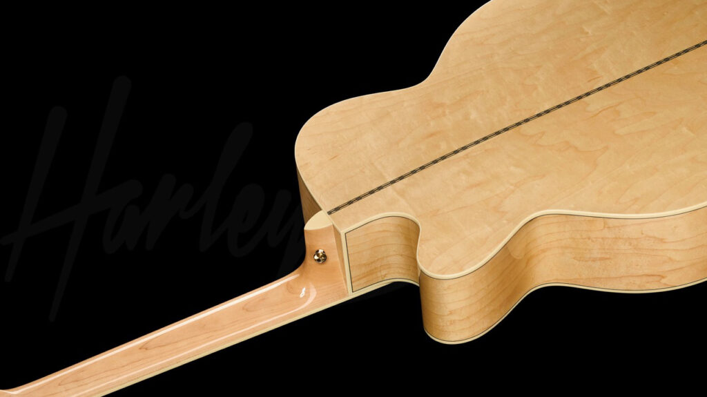 Harley Benton Custom Line King-12 CE NT News