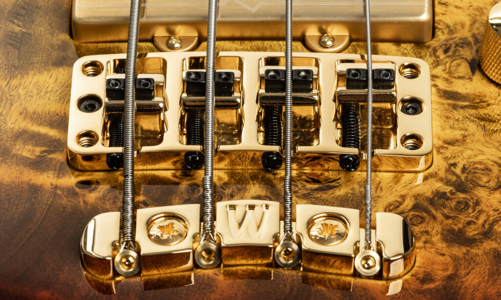 Warwick Masterbuilt Streamer LTD 2025