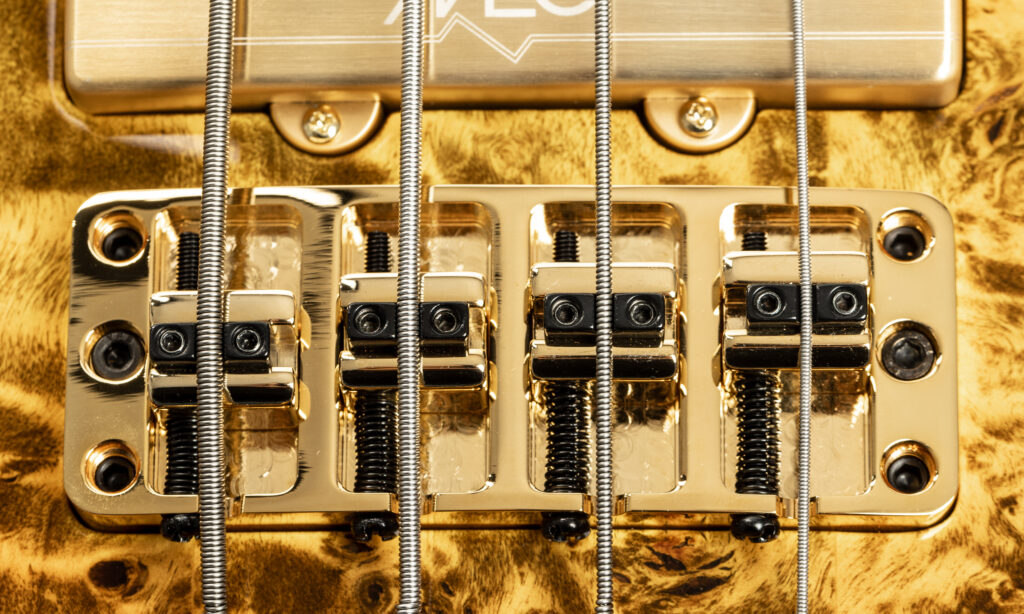 Warwick Masterbuilt Streamer LTD 2025