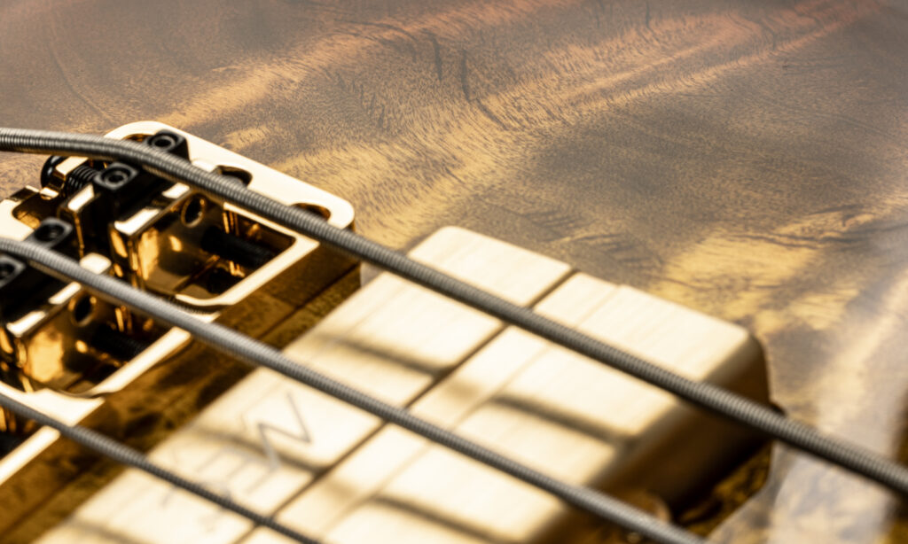 Warwick Masterbuilt Streamer LTD 2025