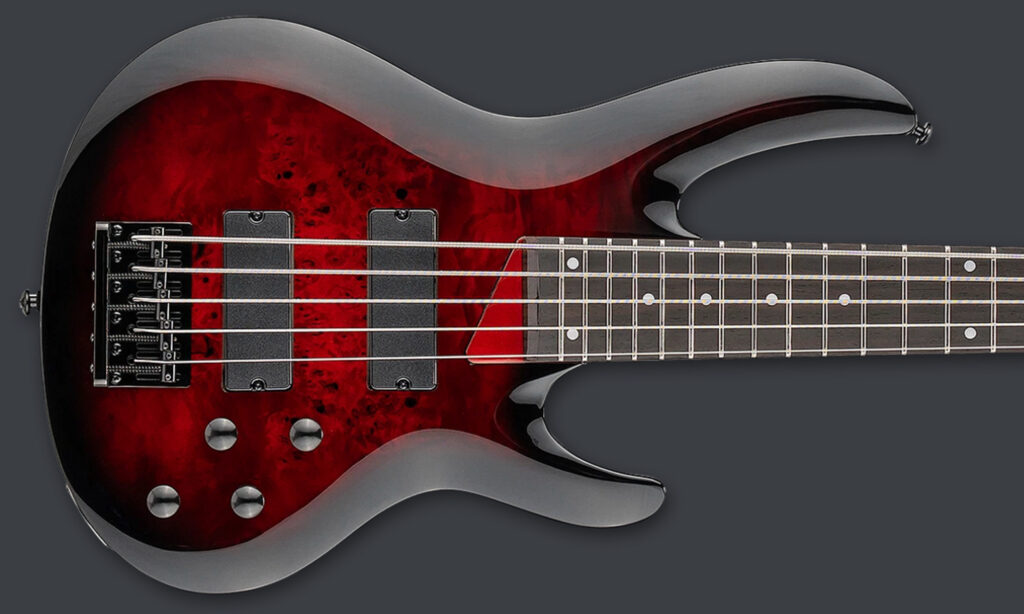 ESP LTD B-205DX