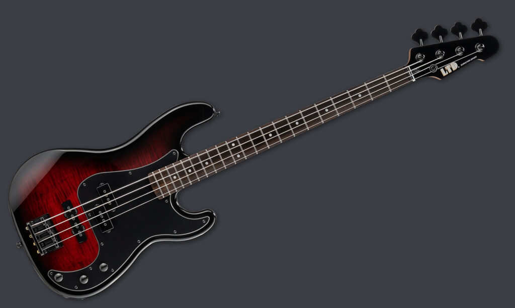 ESP LTD Surveyor 204DX