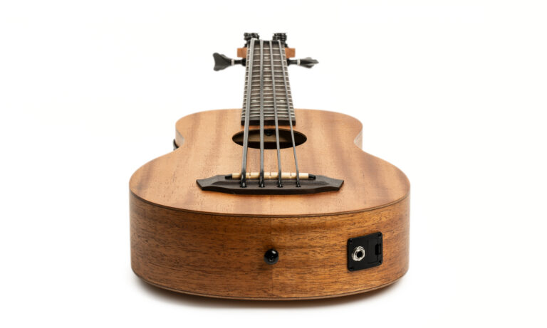 Kala U-Bass Nomad Test Artikelbild