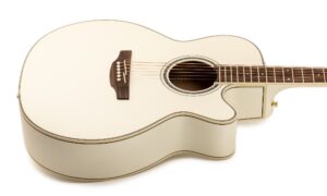 Test: Takamine GN37CE PW – Eine Westerngitarre, die auffällt! Artikelbild