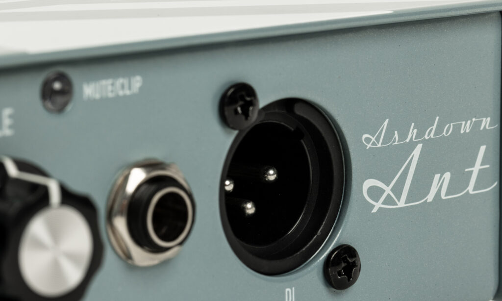 Ashdown UK-PBM-200 The Ant / Ashdown UK-RBM-112T