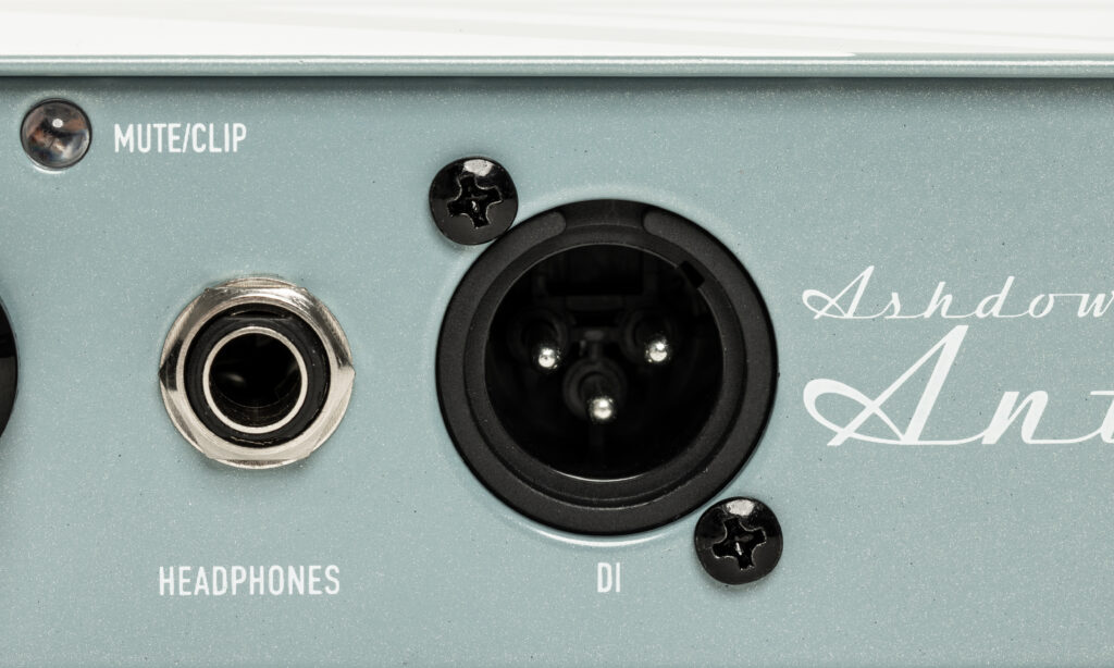 Ashdown UK-PBM-200 The Ant / Ashdown UK-RBM-112T