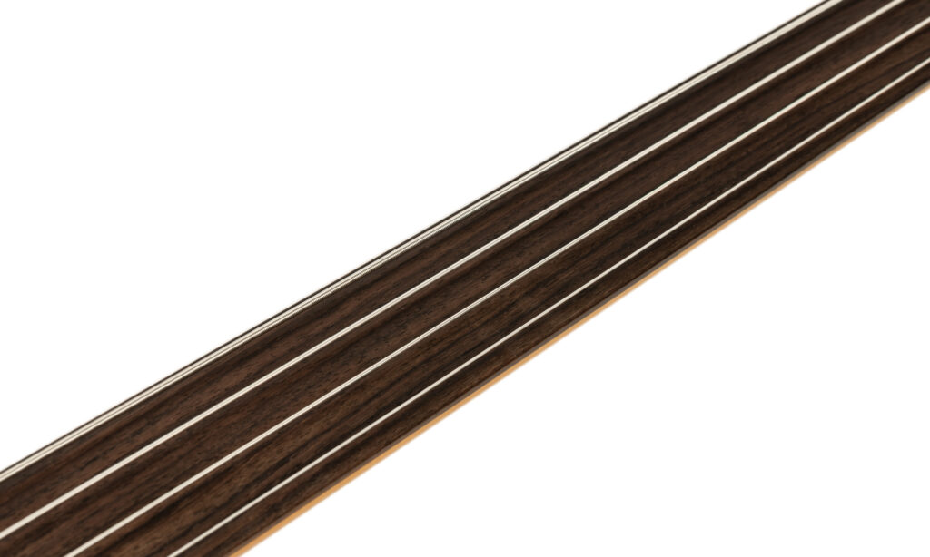 Music Man Pino Palladino Fretless Stingray