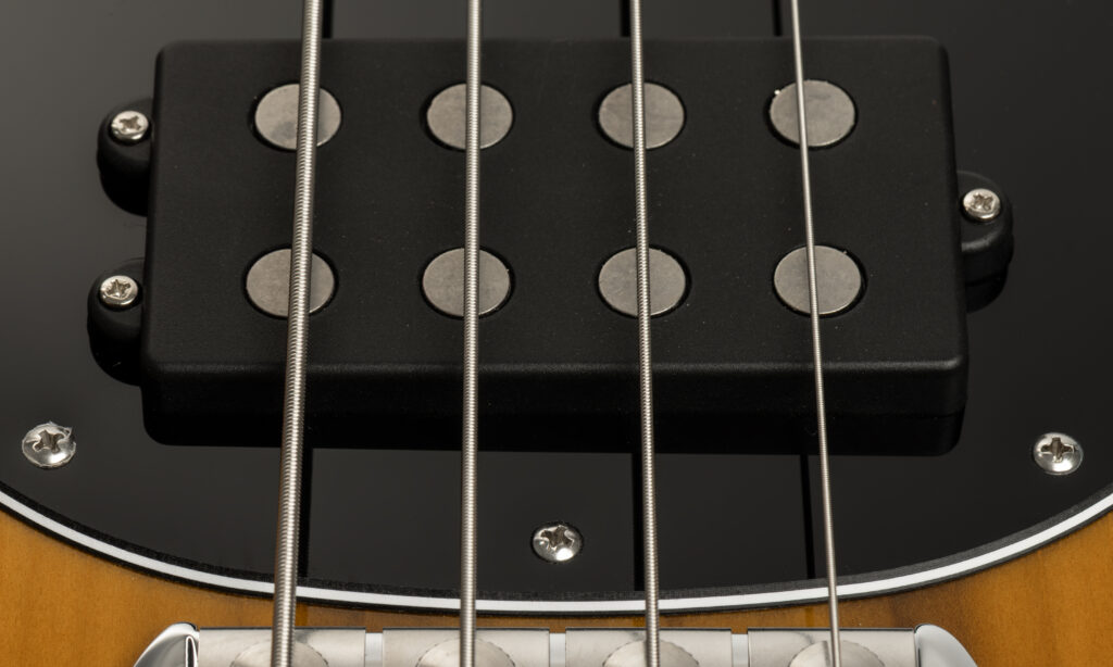 Music Man Pino Palladino Fretless Stingray