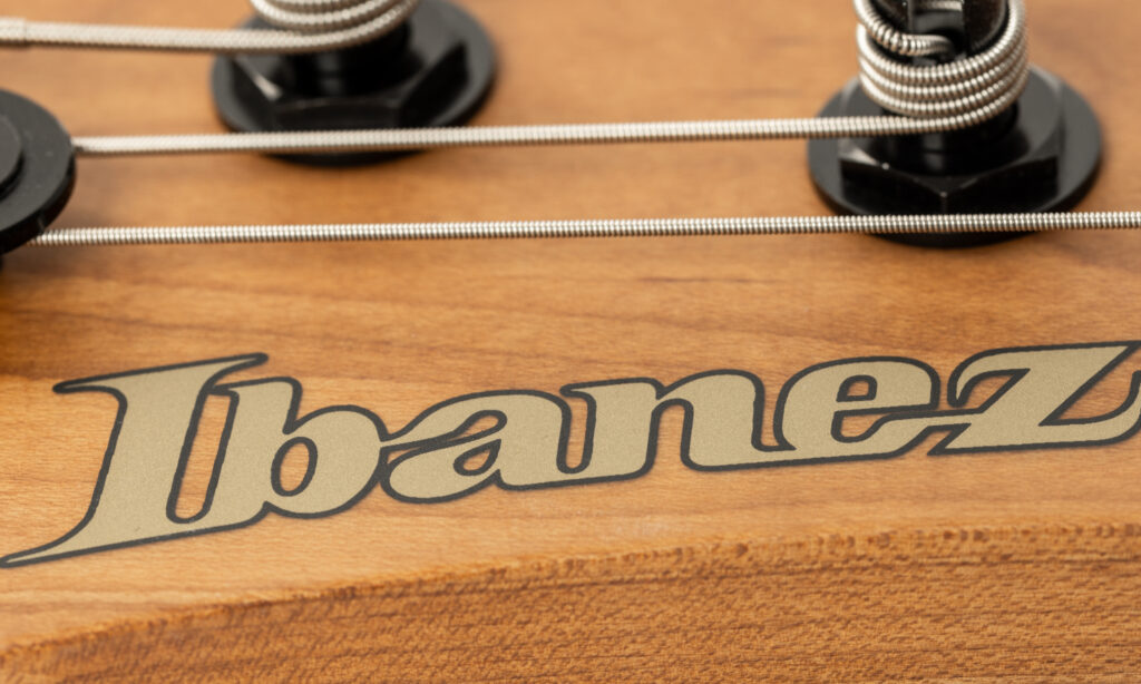 Ibanez MDM1600/MDM1606